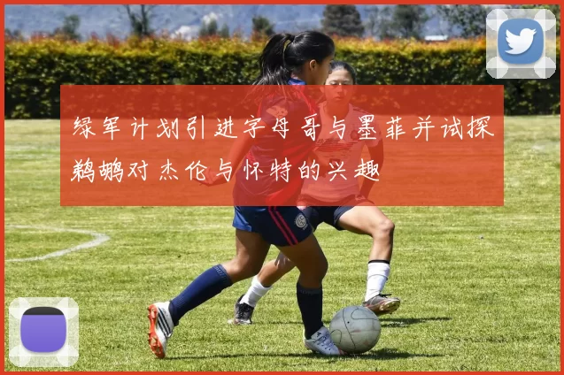 绿军计划引进字母哥与墨菲并试探鹈鹕对杰伦与怀特的兴趣